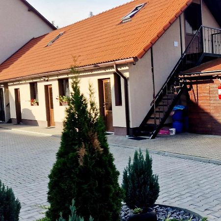 Farkaslaki Panorama Vendeghaz Hotel Lupeni  Екстериор снимка